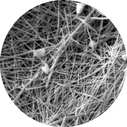 Hình ảnh tinh thể Penetron dưới kính hiển vi điện tử.